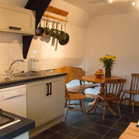 James John Hamilton House And Backpacker Hostel Fishguard Exteriör bild